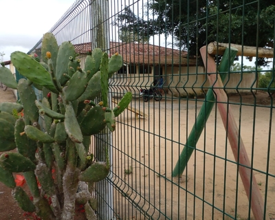 Escola Municipal Córrego das Palmeiras 