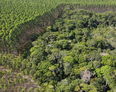 Rancho Queimado
