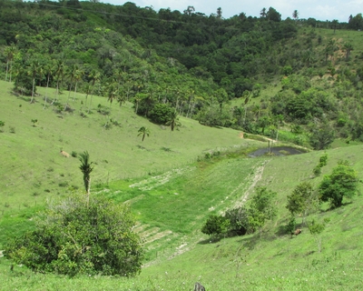 Comunidade Arara