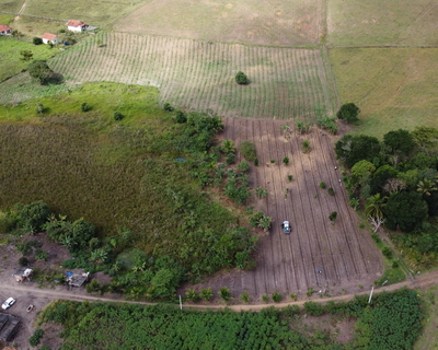 Jardim Novo
