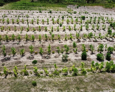 Córrego do Arthur 