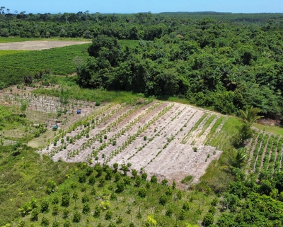 Córrego do Arthur 