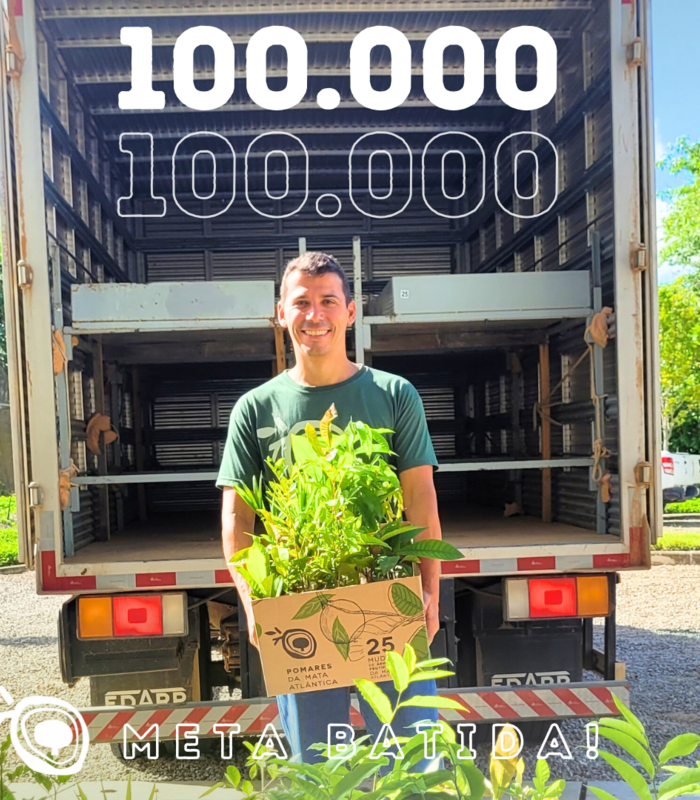 Projeto distribui 100 mil mudas frutíferas nativas da Mata Atlântica para plantio de pomares